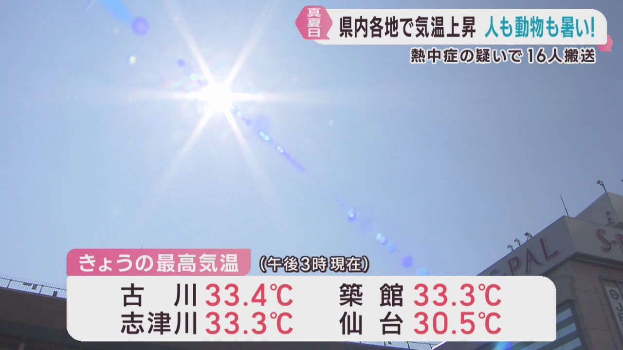 宮城県各地で３０℃超の真夏日に　熱中症に注意を