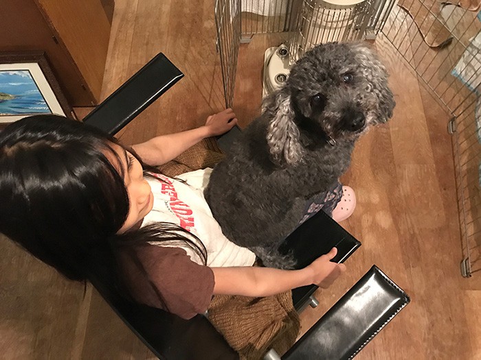 ポコが初めて乗ってくれたからうれしくて動けない娘ちゃん