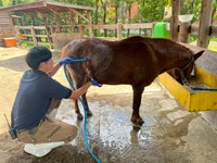 雨や水が苦手で普段はかかりそうになると逃げますが、真夏の水浴びだけは気持ち良さそう（神戸市立王子動物園提供）