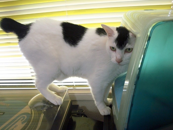 そろそろ寝るぞ。じゃあな