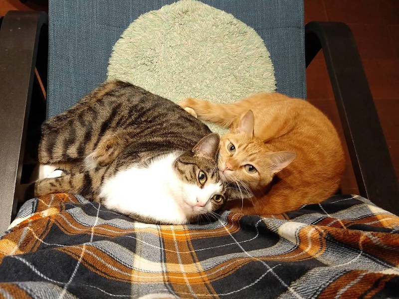 本当のお兄ちゃんのようなこうくんと