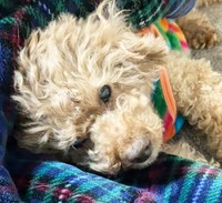 15歳という月齢にして行き場を失うことに…