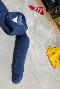 脱ぎ捨てたズボンに入り込むつぶちゃん（つぶさん提供、Xよりキャプチャ撮影）