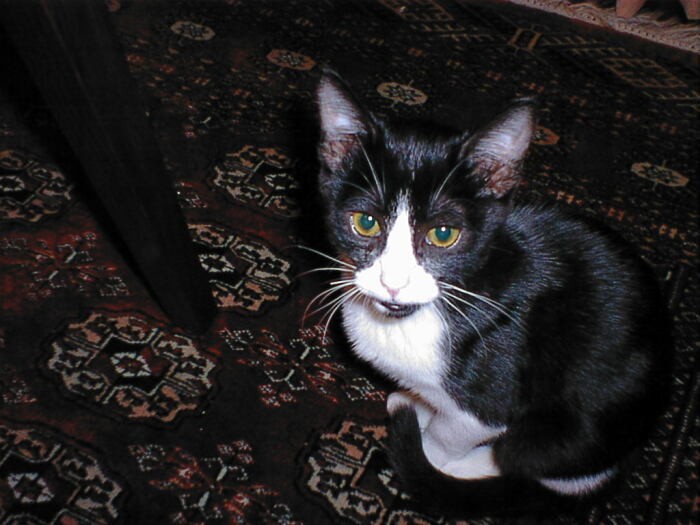 葉子さんが大好きなはちべえ （葉子さん提供）