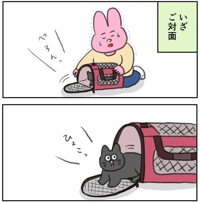 ケースから現れた恐ろしく可愛い生物（なおにゃんさん提供）