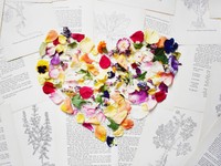 対人関係が苦手な私。先生の愛のおかげで、人と関わる楽しさを知れた