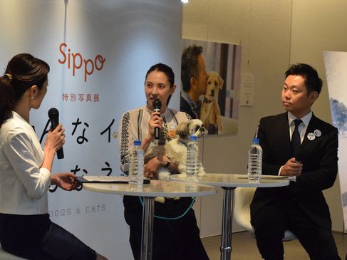 保護犬、保護猫もこんなにカワイイ！　sippo特別写真展