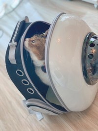 ファスナーでお手軽に開閉できる※オキエイコさん提供