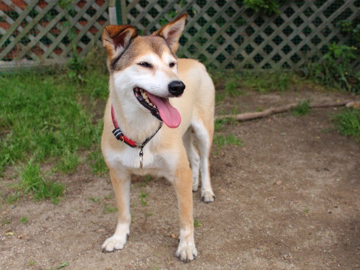 わ～、おやつの時間ですか？