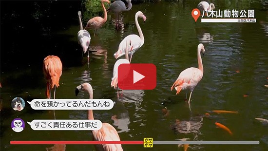 #98八木山動物公園④