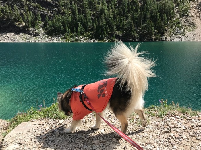 カナダのバンフ国立公園にて（@nana_crossbreed提供）