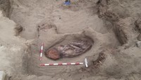 ペルー首都リマの北、約180キロのアスペロ遺跡で発見された5000年前のミイラ（ロイター）
