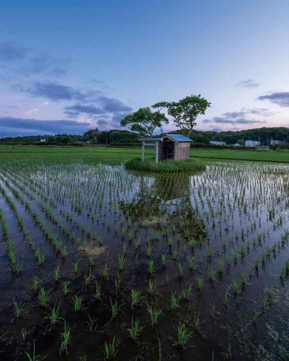 どこかノスタルジックな雰囲気の一枚／えぬびいさん（@enuenuenubi）提供
