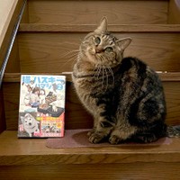 元保護猫のイサムくんが紹介するのは、ハマジさんの最新コミックエッセイ『猫とハスキーとハマジ（２）』（提供：ハマジさん @xxhama2）