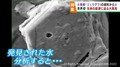 水を分析すると