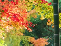 普段とは違う自分になれるのが旅。写真を見返し、また次の旅先を探す