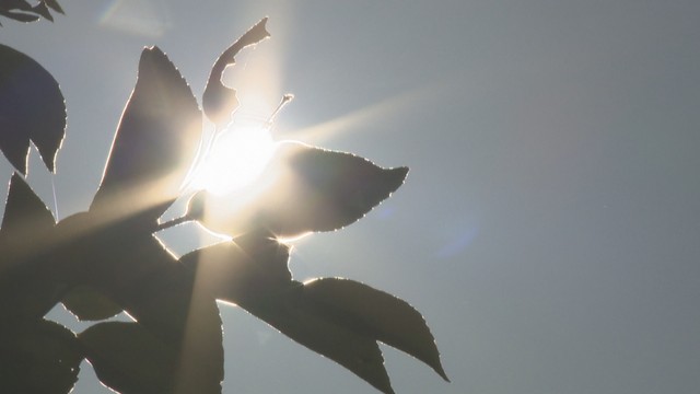 職場の熱中症を防げ　クールワークキャンペーンを実施　香川労働局