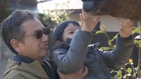 大宮神社では約25年前から毎年干支のオブジェを作っている