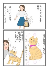 【漫画】『再婚できたのは猫のせい。』1（ヨスコスさん提供）