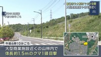 商業施設や住宅街でクマ目撃　宮城県の富谷市や大和町