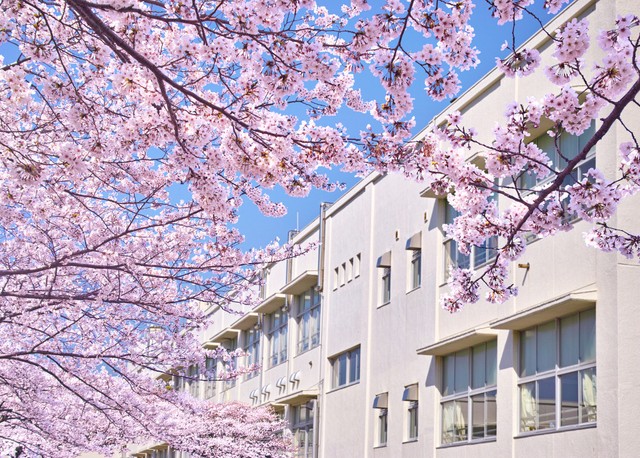 ※写真はイメージです（7maru／stock.adobe.com）