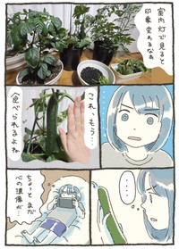 【漫画】『家庭菜園 初収穫の話』2（おべちさん提供）