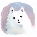 父に連れ出されたチロ　青来有一