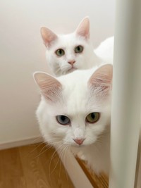 これからも楽しい姿をたくさん見せてくださいね（画像提供：くうねる さん）