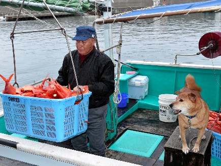 大海に愛犬とふたりきり　１２年間、漁に出続ける老人と犬