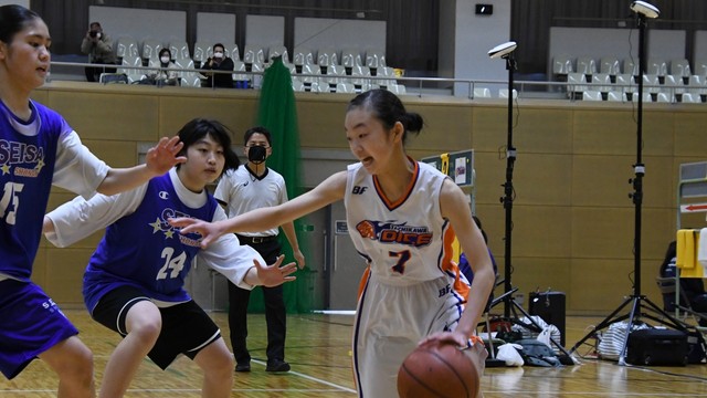 星槎湘南―立川ダイス