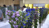 切り花の出来栄えを競う花き共進会　見た目や害虫の有無などを採点　岡山・新見市