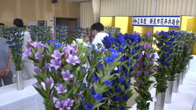 切り花の出来栄えを競う花き共進会　見た目や害虫の有無などを採点　岡山・新見市