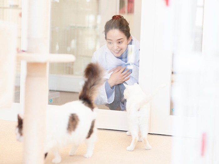 猫室を見る松島花さん