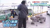 マグロ漁師は落胆　宮城・塩釜市魚市場の運営会社に行政処分