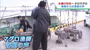 マグロ漁師は落胆　宮城・塩釜市魚市場の運営会社に行政処分