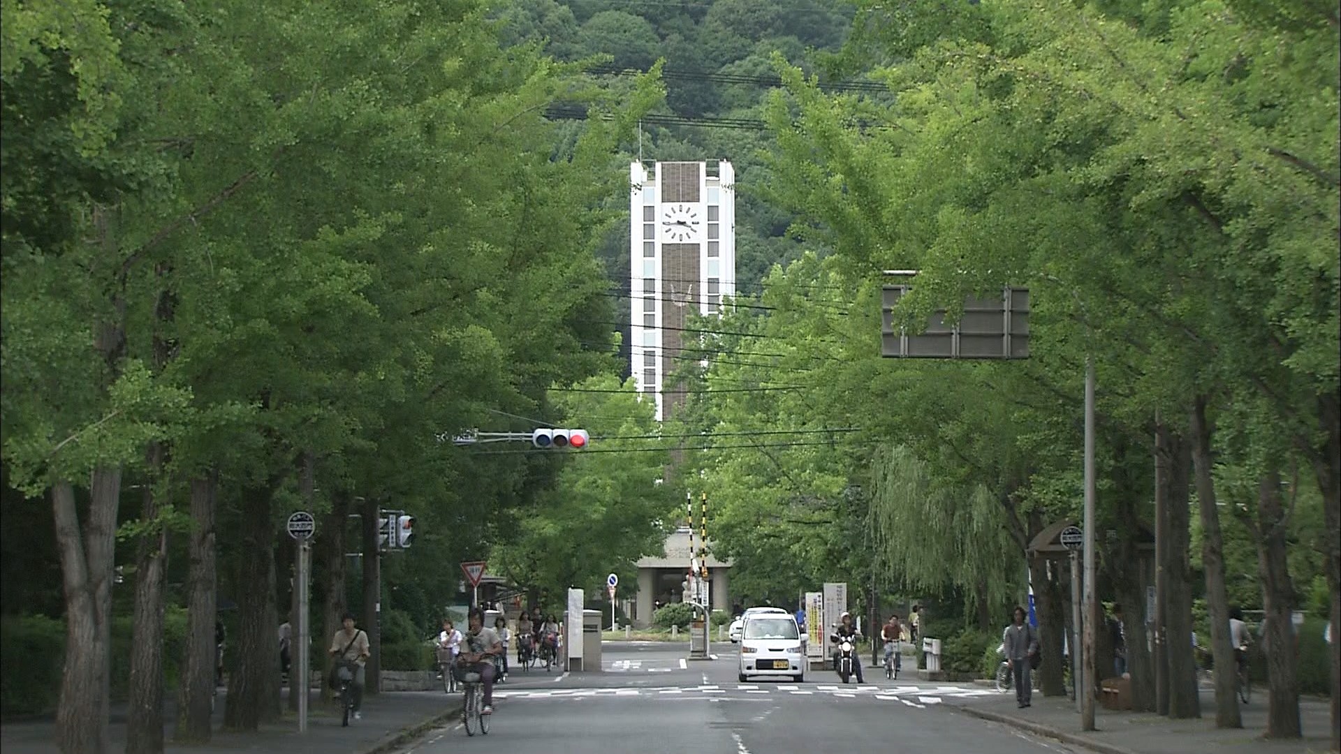 すい臓がんの治療を阻む「障壁」を形成するタンパク質を特定 治療成績の改善に期待 岡山大 | al96のブログ