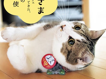 猫ブームに一石　「かわいい」では済まぬ現実を知る１冊