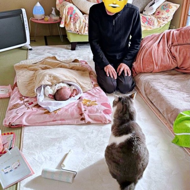 赤ちゃんを見守るじいじと福くん（画像提供：nさん）