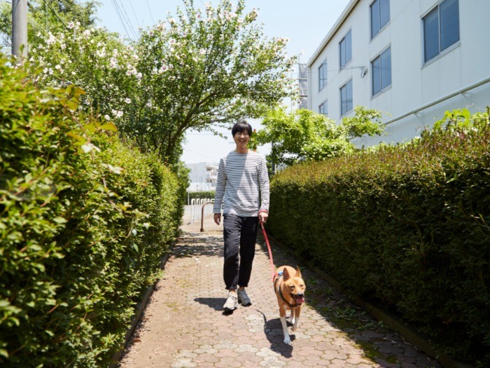 散歩の定番ルートは人や自転車の往来が少ない細い道