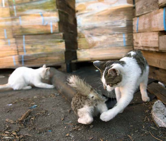 むこうから出られる？（沖昌之 / 辰巳出版）