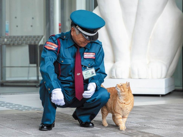 幸福感に満ちた休戦合意