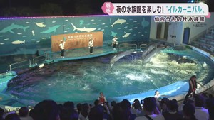 夜の水族館を楽しむイルカーニバル　仙台うみの杜水族館