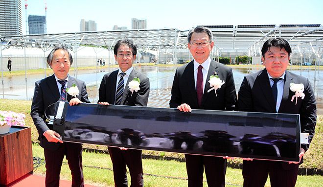 A double harvest: Japan to trial ‘solar sharing’ with rice paddies