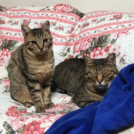 「これからもよろしく」「仲良くやろうね」（提供写真）