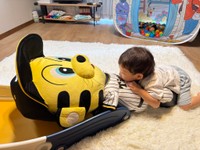 阪神のマスコットキャラ「トラッキー」とじゃれる小笠原奈央さんの息子さん（小笠原奈央さん提供）