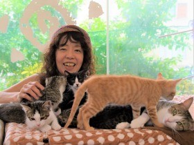 小さな命を犠牲にしない　花屋の一角に保護猫シェルター