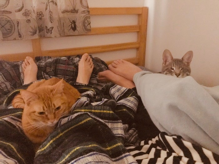 家族と一緒に寝るともっと最高よ（山下さん提供）