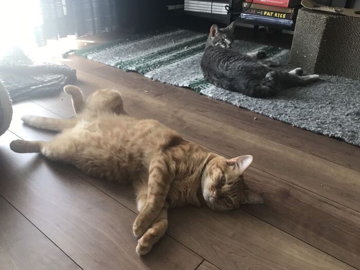 最初のうちはちょっと離れていた（山下さん提供）