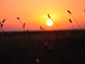 幼い私が“大事”と名付けたオレンジ色の服は、いつも安心をくれる