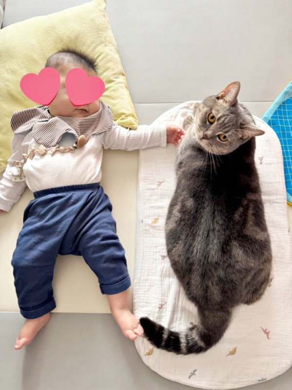 息子さんと添い寝するはまちくん（画像提供：ごまちよ 0y(2024.07)さん）